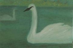 Cisne flotando, 70 x 50 cm, óleo sobre tela, 2003 (colección privada)