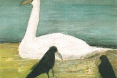 El cisne, 50 x 65 cm, óleo sobre tela, 2001 (colección privada)