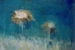 Flor con cielo