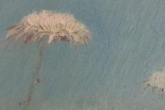 Cardo con cielo III