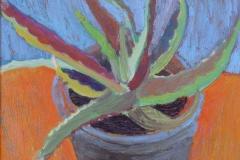 Cactus I