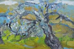 El árbol y el tiempo II