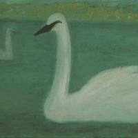 Cisne flotando, 70 x 50 cm, oil on canvas, 2003 (private collection)